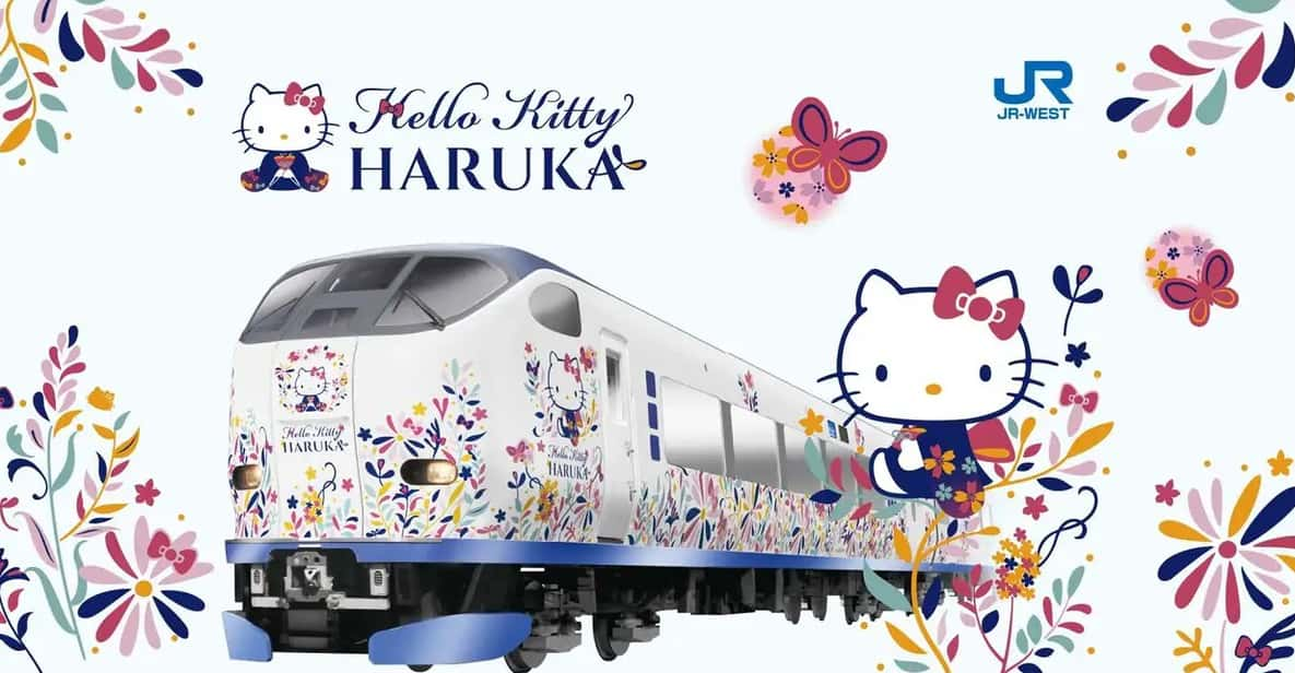 Kansai-Airport Express HARUKA One-way Ticket - Important Information