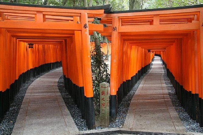 Kyoto 1 Day Trip-Golden Pavilion & Kiyomizu Temple From Osaka