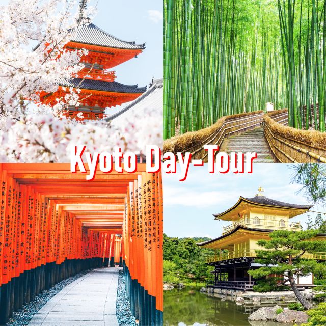 Kyoto: 10-hour Customized Private Tour