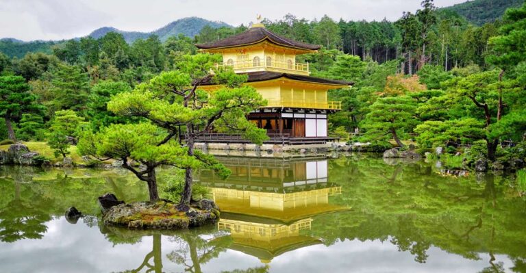 Kyoto and Nara Golden Route 1 Day Bus Tour From Kyoto