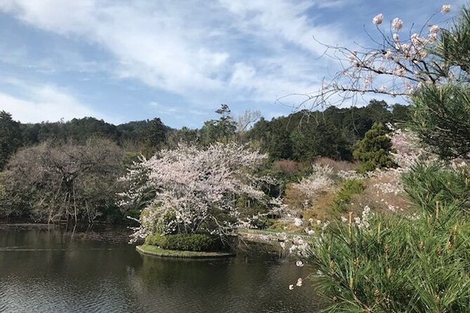 Kyoto Early Bird Half Day Private Tour With Transfer