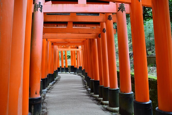 Kyoto Heritage Path – Fushimi Inaris Mystery to Kiyomizu Temple