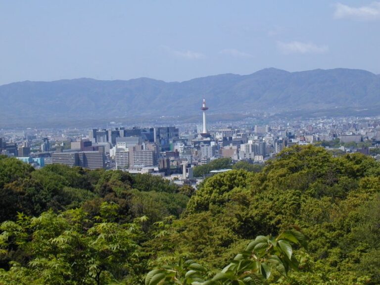 Kyoto: Private Tour With Local Licensed Guide