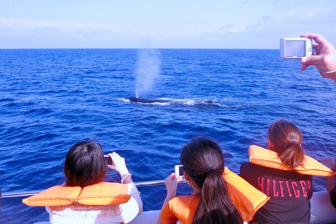 [Limited Time] From Onna Village (Maeda Fishing Port)! Whale Watching｜Completely Reserved Boat Charter Plan (4 Hour Course)