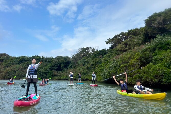 Mangrove SUP in Okinawa