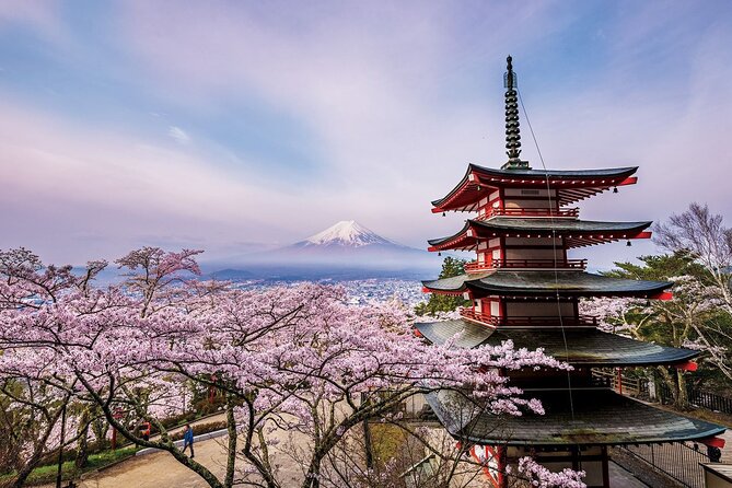 Mount Fuji & Hokane Lakes With English-Speaking Guide