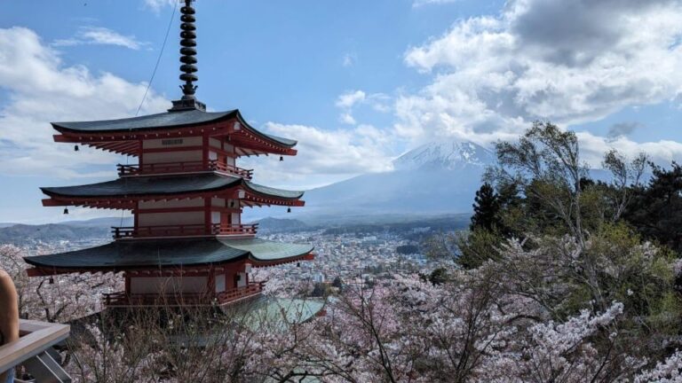 Mt Fuji & Hakone: Sightseeing Private Day Tour With Guide