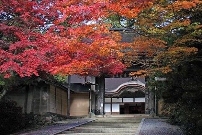 Mt Koya 2 Day Walking Tour From Osaka