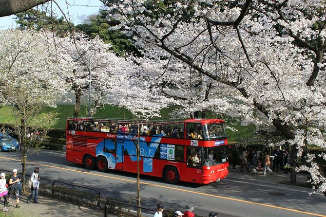 Night Cherry Blossom Bustour With Nihonbashi Shop Discount Ticket