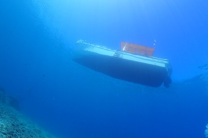 Okinawa Scuba Diving for Certified Divers (3 Boat Dives + Lunch)