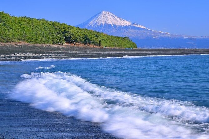 One Day Private Tour Around Shimizu Port for Cruise Passengers