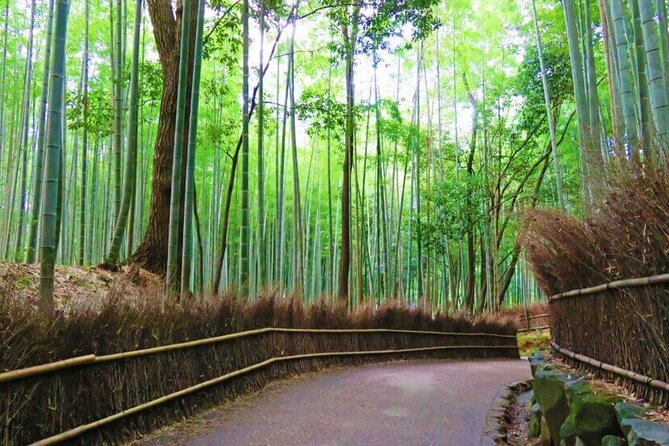 Osaka Departure Kyoto Top 3 Full Day Tour