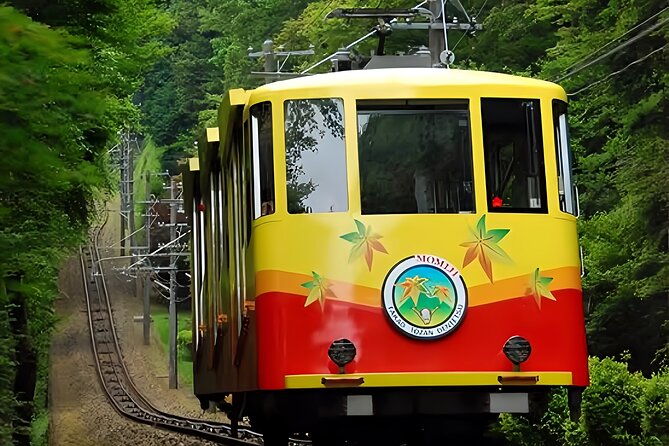 Private All Inclusive Family Tour to Takao Mountain With Prizes