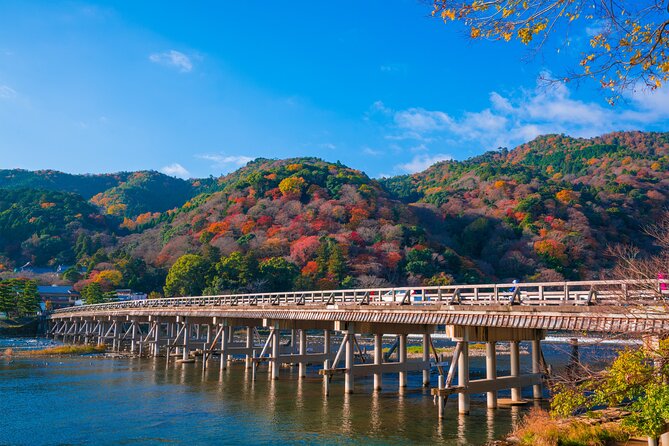 Private Day Tour – Kyoto Arashiyama & Bamboo Forest Perfect Tour!