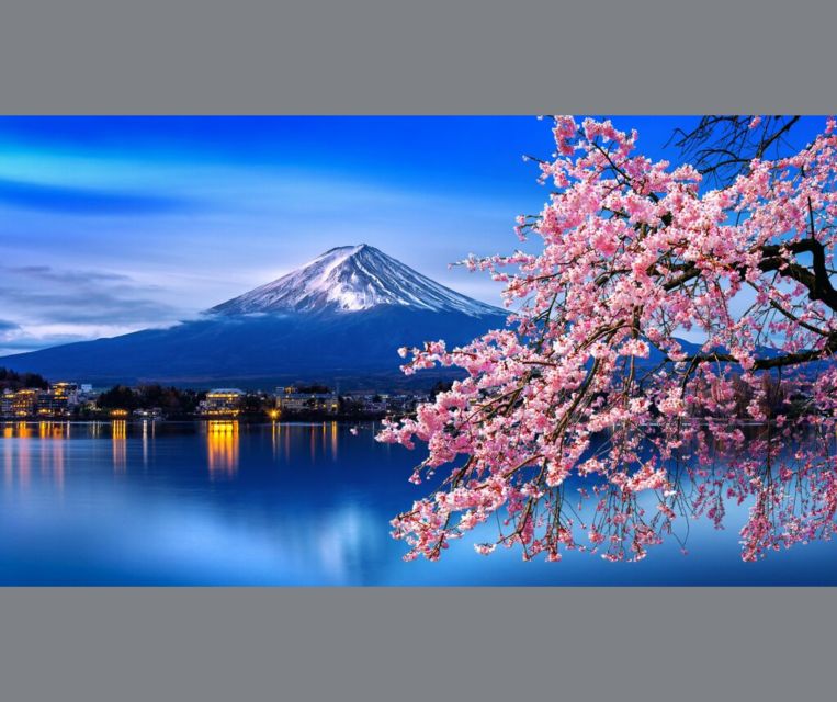Private Day Trip to Mt. Fuji & Hakone Cherry Blossoms