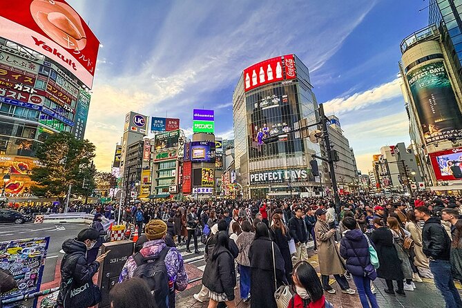 Private Guided Half Day Walking Subway Tour in Tokyo