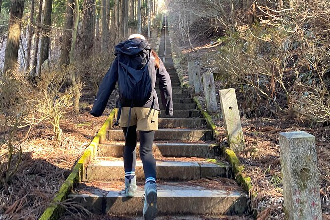 Private Hiking Tour to View Mt. Fuji