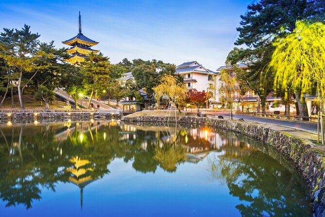 Private Journey in Nara’s Historical Wonder