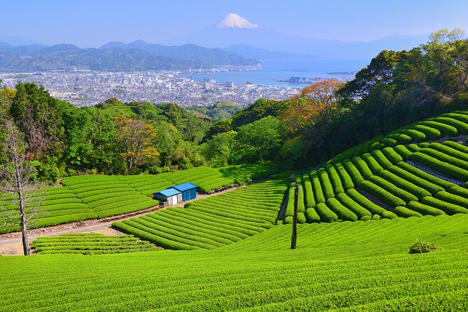 Private Sightseeing Tour in Shimizu Port by Sedan Taxis