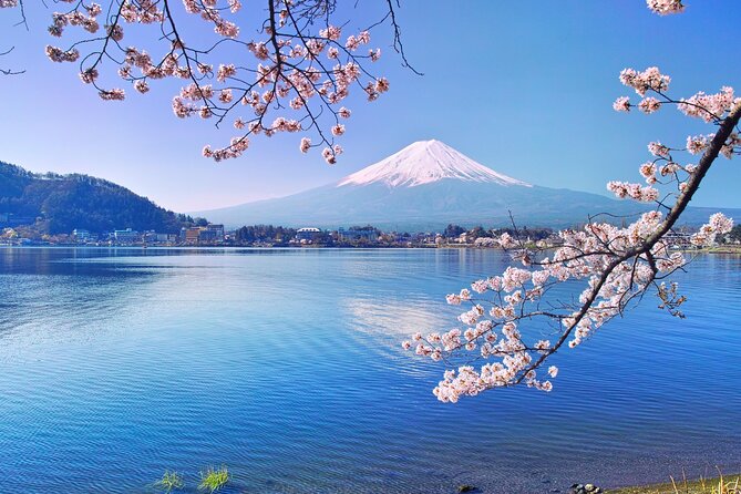 Private Transfer Between Tokyo and Lake Kawaguchi/Mt. Fuji/Hakone