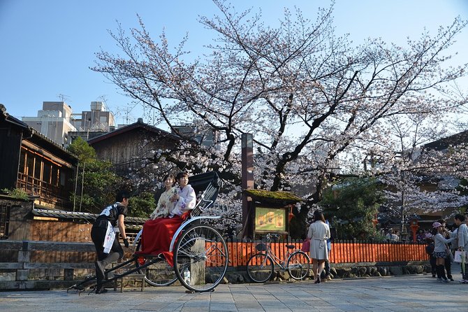 Private & Unique Kyoto Cherry Blossom Sakura Experience