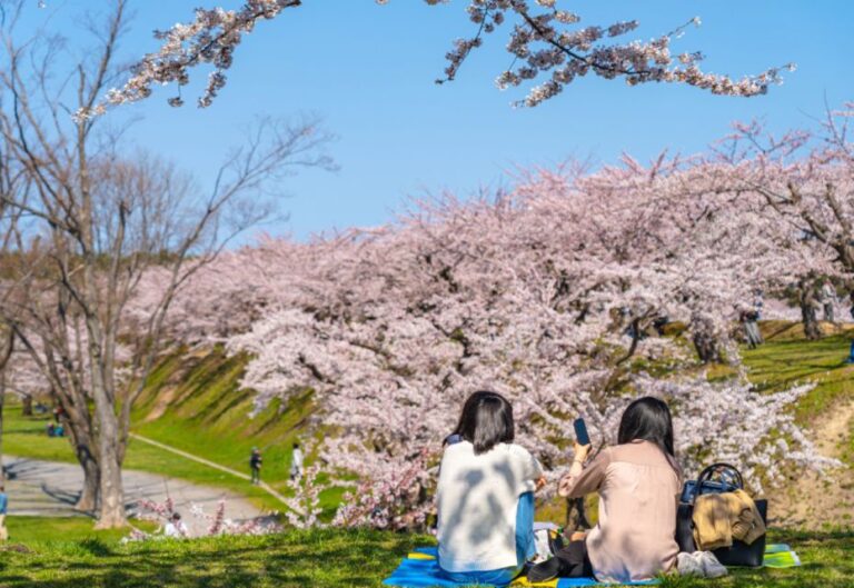Private & Unique Nagasaki Cherry Blossom Sakura Experience