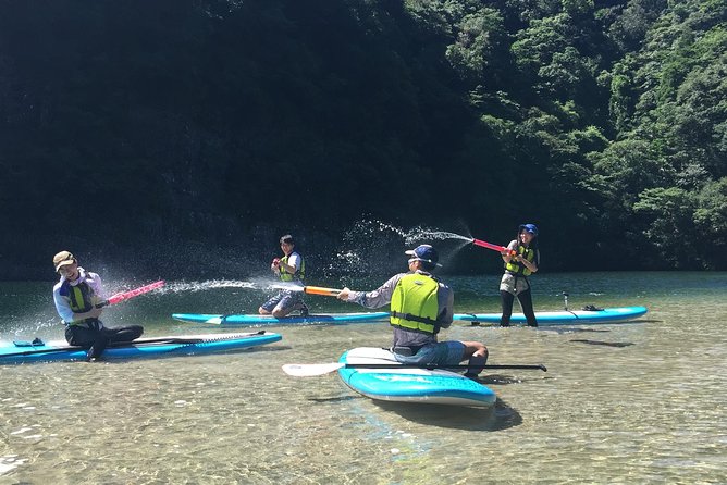 [Recommended on Arrival Date or Before Leaving! ] Relaxing and Relaxing Water Walk Awakawa River SUP [Half-Day Tour]