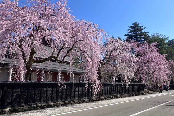 Rental Bicycle With Electric Assist / Satoyama Cycling Tour