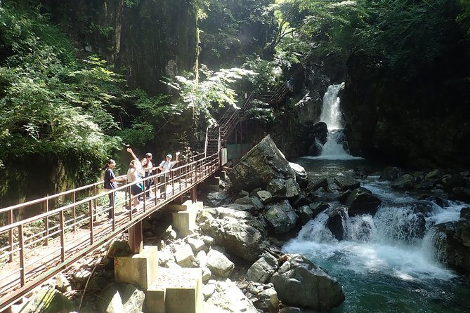 Rivers Run Through Hida and Osakacho E-Bike Tour