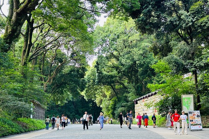 Sacred Morning Walk and Brunch Meiji Shrine