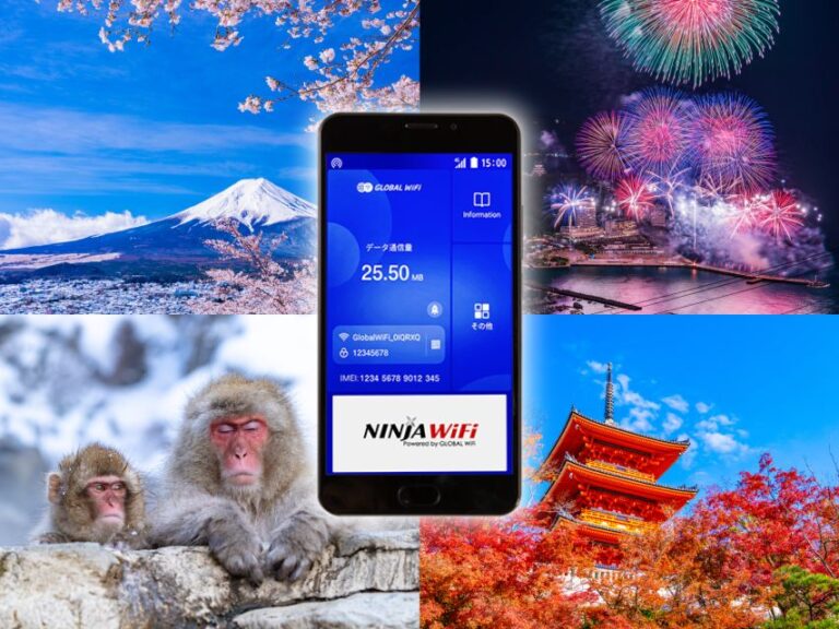 Sapporo: New Chitose Airport Domestic Terminal WiFi Rental