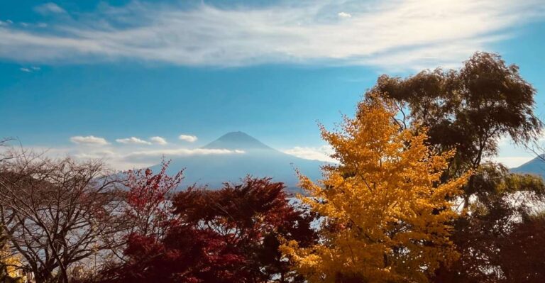 Shinjuku: Mount Fuji Panoramic View and Shopping Day Tour