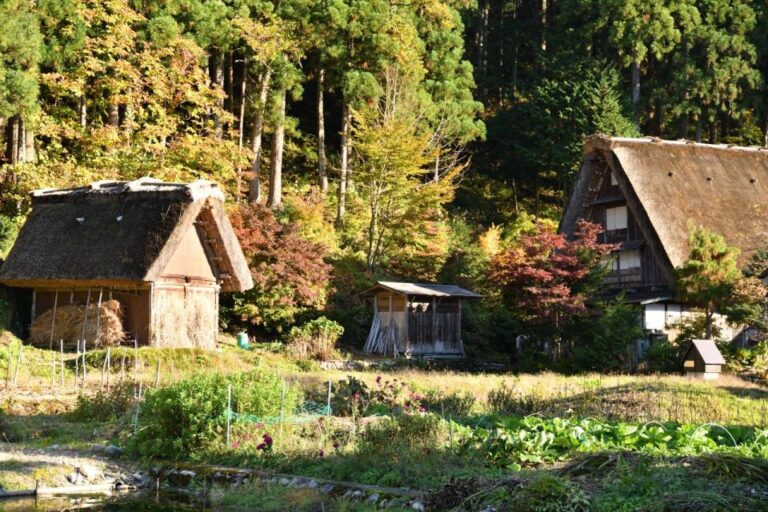 Shirakawa-go Audio Guide: Traditional Village of Japan