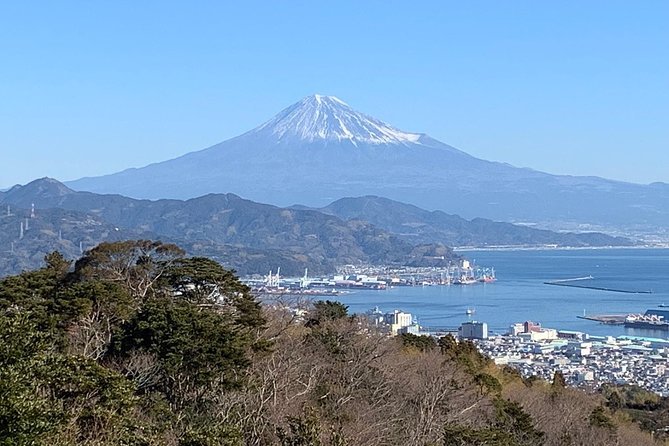 Sightseeing Around Shimizu Port for Cruise Ship Passengers