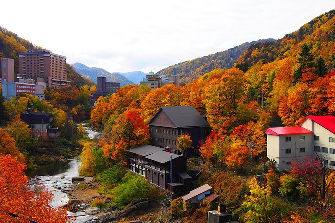 SkyExpress: Jozankei & Sapporo Customised Private Day Tour (Up to 15 Passengers)