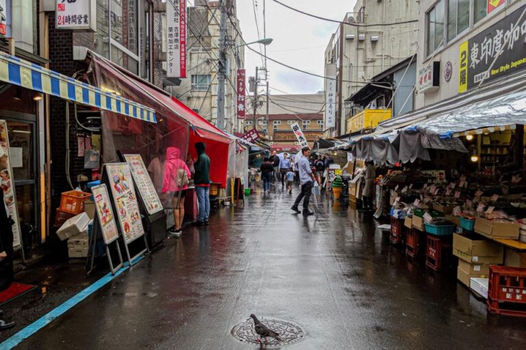 Small Group Tsukiji Fish Market Food Tour