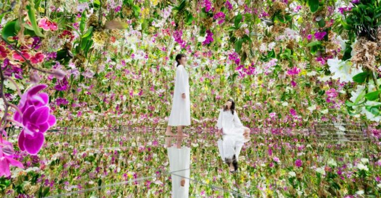 Teamlab Planets TOKYO: Digital Art Museum Entrance Ticket