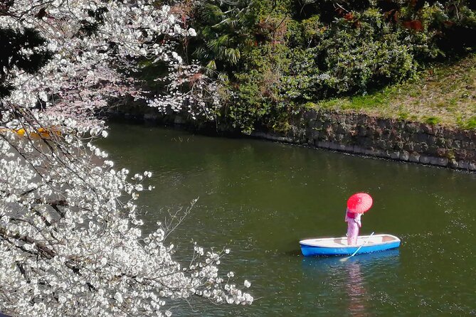 Tokyo Cherry Blossoms Blooming Spots E-Bike 3 Hour Tour