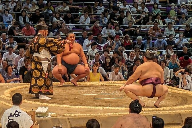 Tokyo Grand Sumo Tournament 2024 With a Sumo Expert Guide