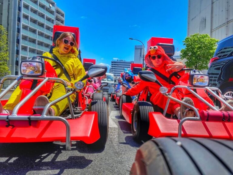 Tokyo: Guided Street Go-Karting Tour in Tokyo Bay