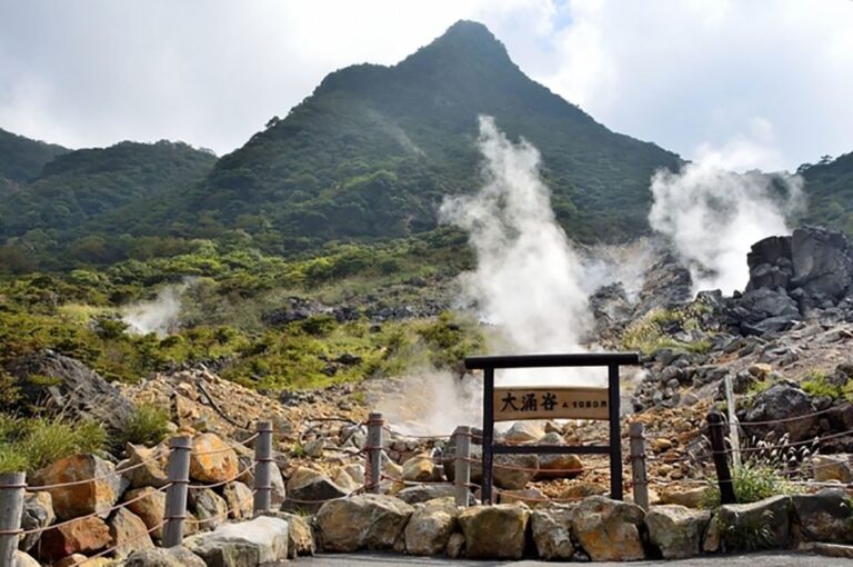 Tokyo: Hakone Fuji Day Tour W/ Cruise, Cable Car, Volcano