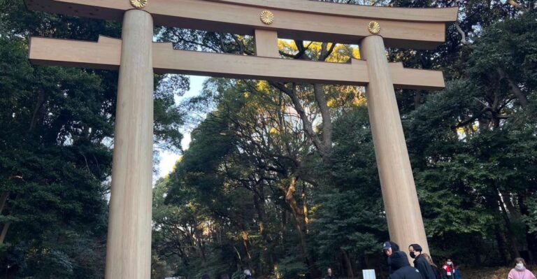 Tokyo Harajuku Meiji Jingu Shrine 1h Walking Tour