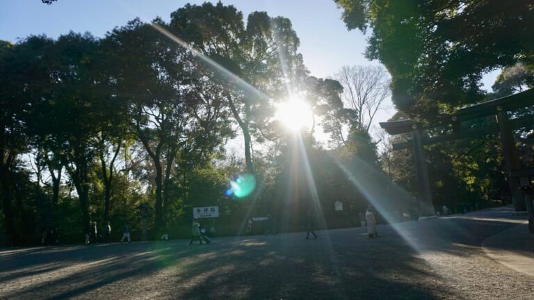 Tokyo Harajuku Meiji Shrine 1h Walking Explanation Tour