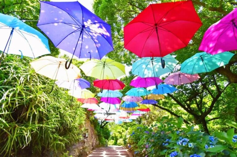 Tokyo: Izu Hydrangea Ocean, Jogasaki Beach & Hot Spring Day