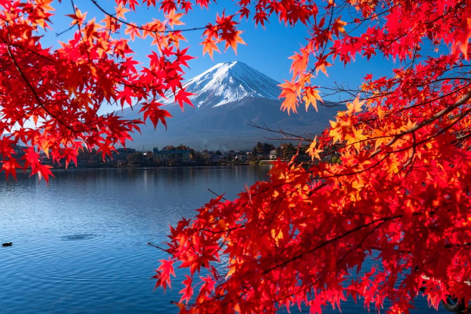 Tokyo: Mt. Fuji Festival, Ropeway, & Fruit Picking Day Trip - Seasonal Festivals