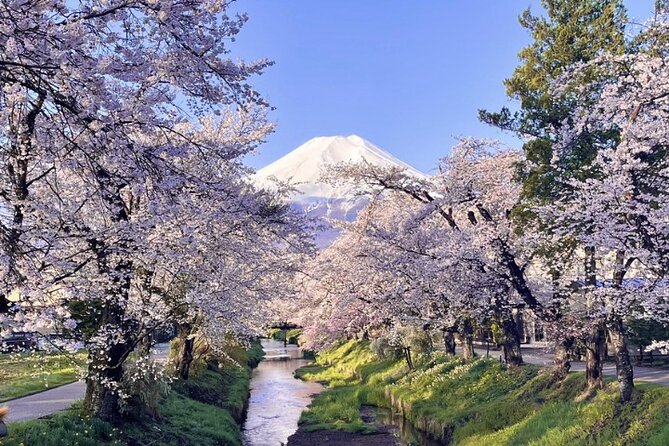 TOKYO OishiPark, Oshino & KoedoKawagoe, Fuji Mount