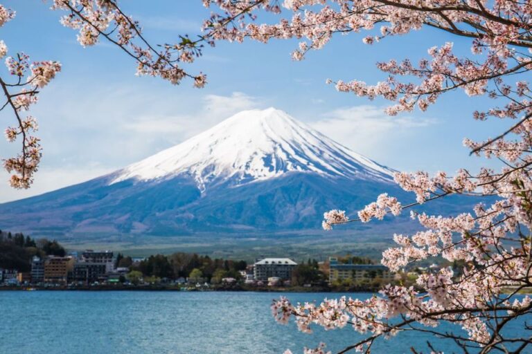 Tokyo: Private Sightseeing Day Trip to Mount Fuji and Hakone