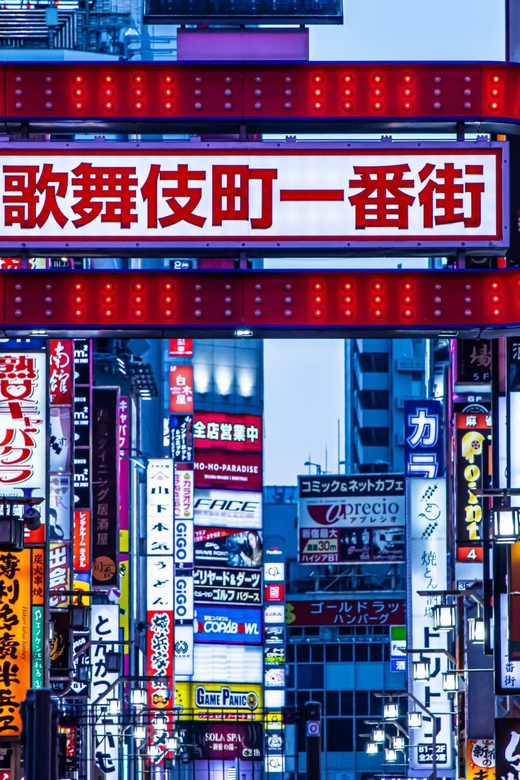 Tokyo: Shinjuku District Guided Walking Tour at Night