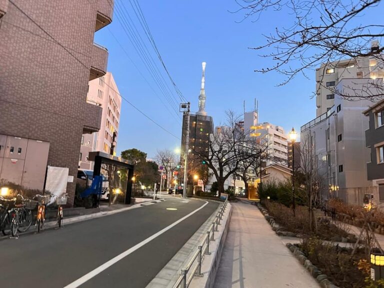 Tokyo Sky Tree View Unique Shrines,Temples Tour in Asakusa