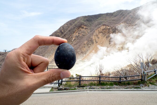 Tokyo to Hakone: Mt.Fuji, Owakudani, Oshino Hakkai, and More